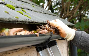 gutter cleaning Lowes Barn, County Durham